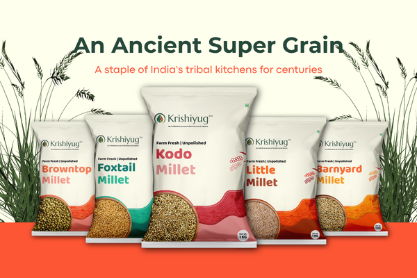 Unpolished Kodo Millet process image 4