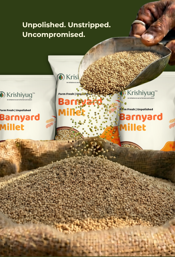 Unpolished Barnyard Millet process image 5