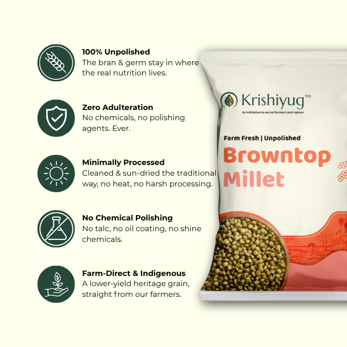 Unpolished Browntop Millet