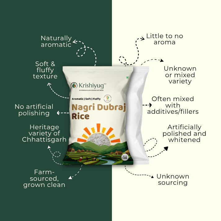 Nagri Dubraj Rice (GI-Tagged, Dhamtari)