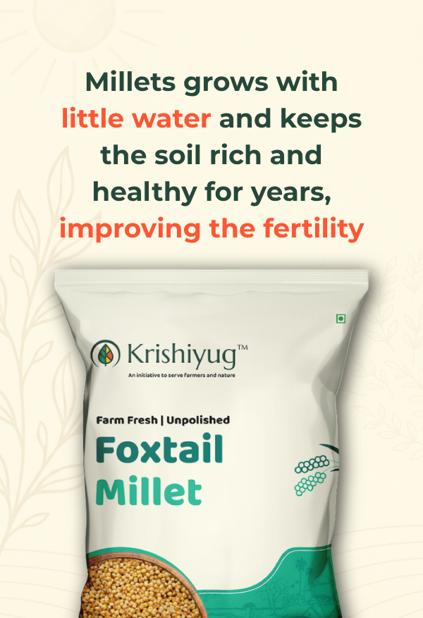 Unpolished Foxtail Millet process image 2