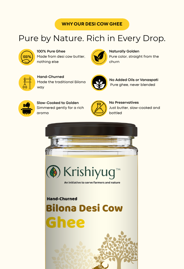 Desi Cow Ghee process image 3