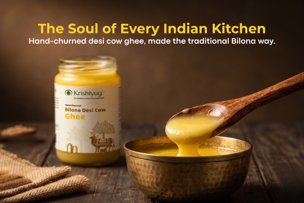 Desi Cow Ghee process image 4