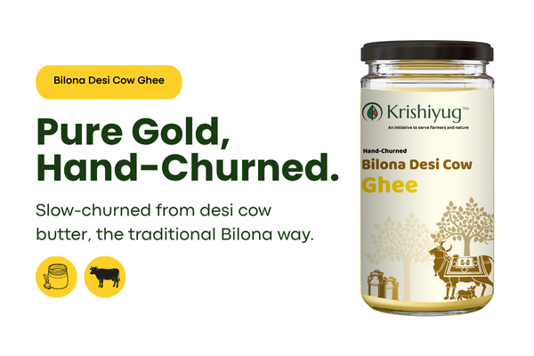 Desi Cow Ghee process image 1
