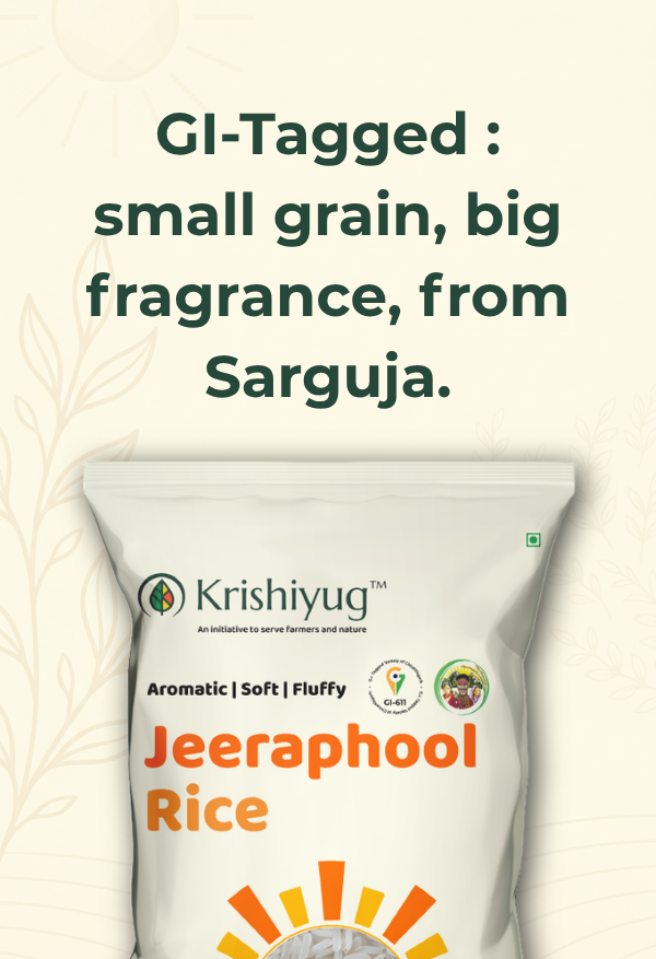 Jeeraphool Rice (GI-Tagged, Sarguja) process image 2