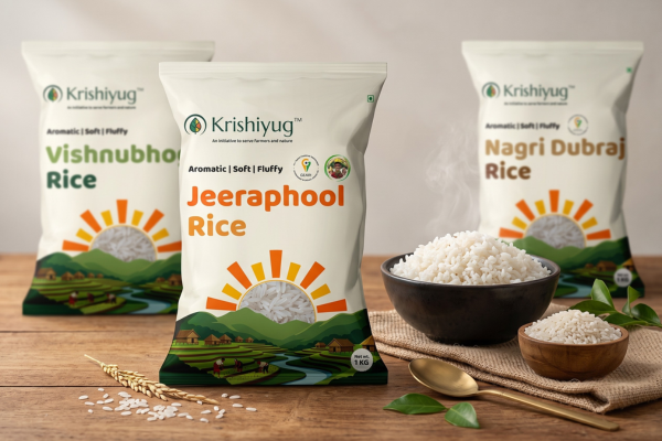 Jeeraphool Rice (GI-Tagged, Sarguja) process image 4