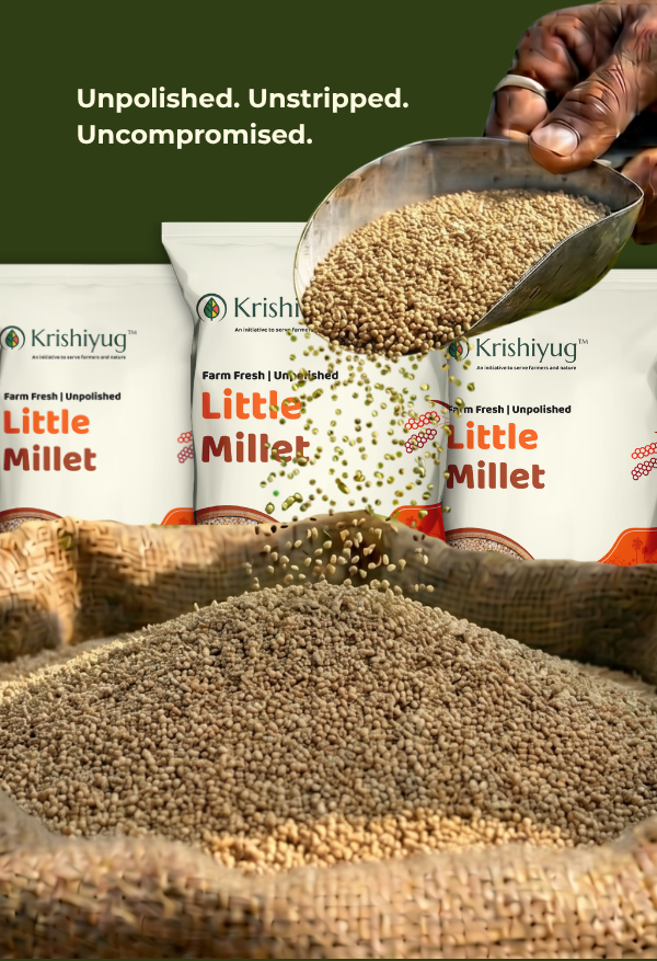 Unpolished Little Millet process image 5