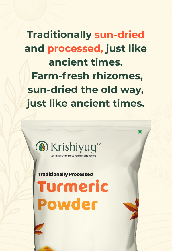 Pure Turmeric Powder (Haldi) process image 2