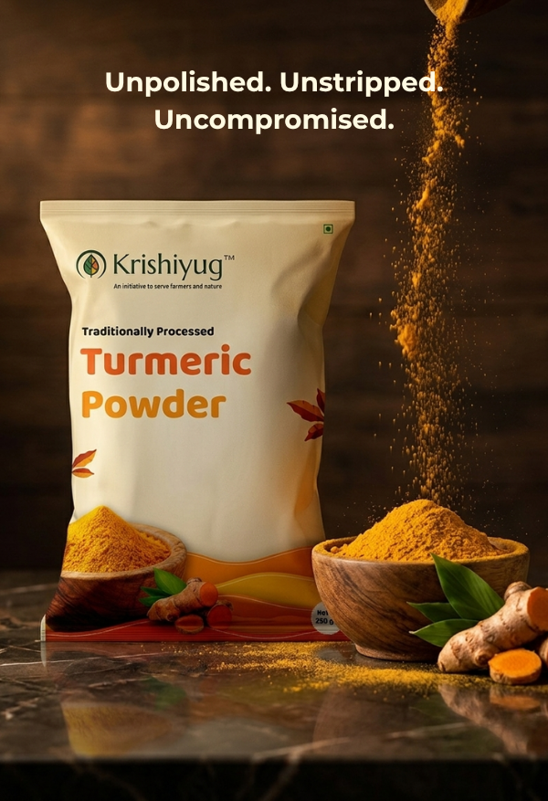 Pure Turmeric Powder (Haldi) process image 5