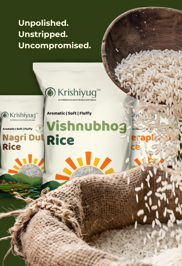 Vishnubhog Rice process image 5